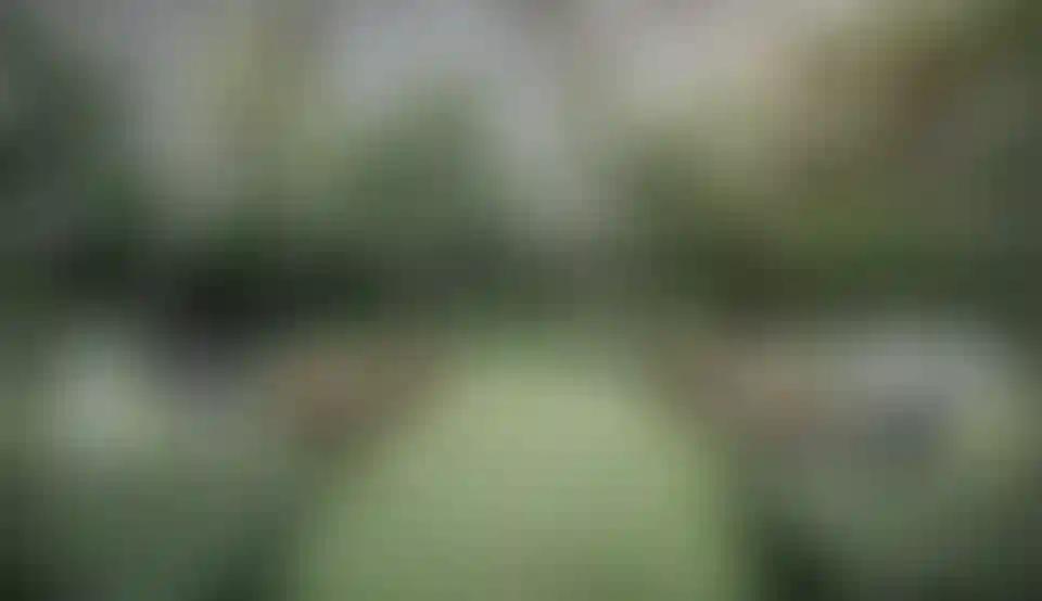 image for main block