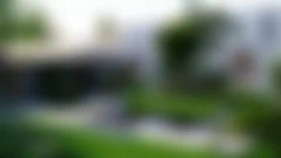 image for main block