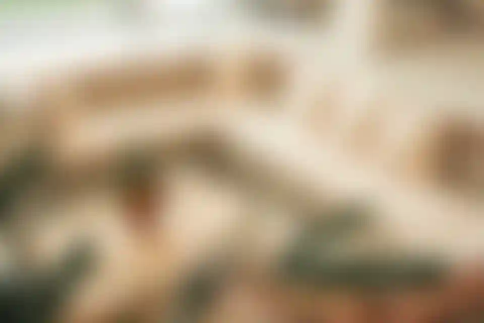 image for main block