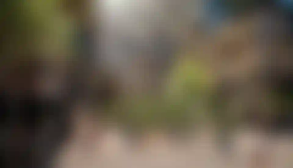 image for main block