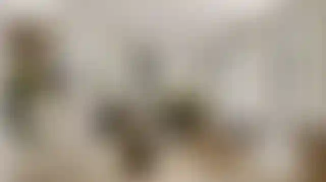 image for main block