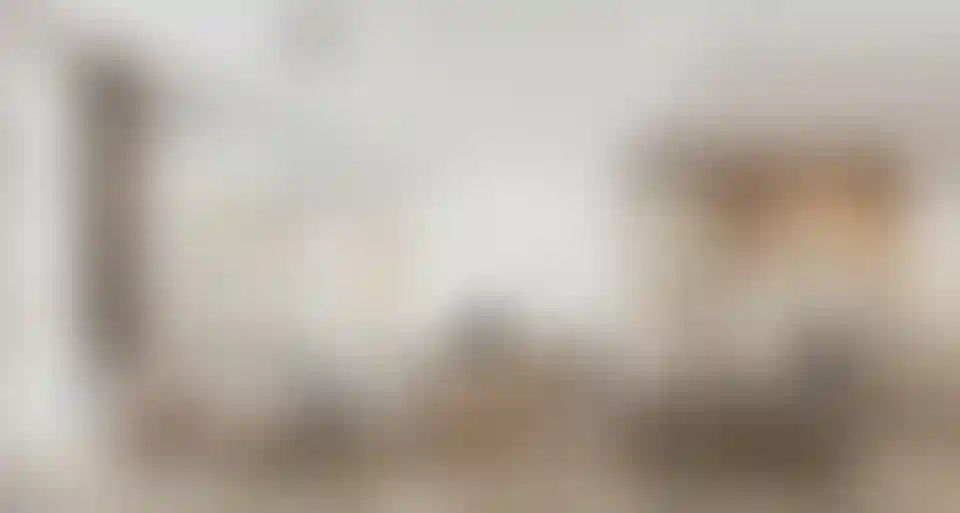 image for main block