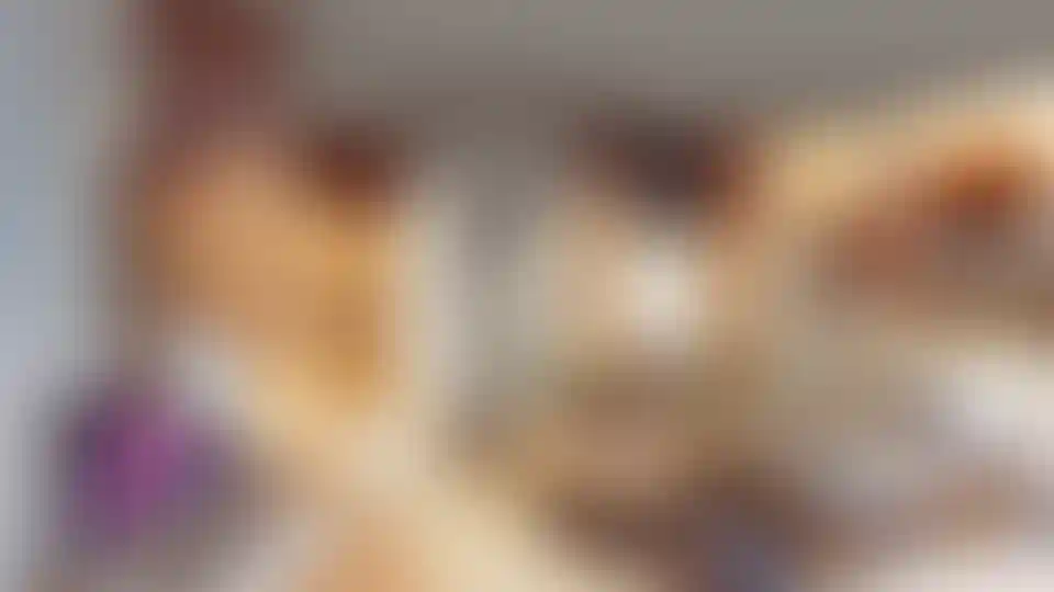 image for main block