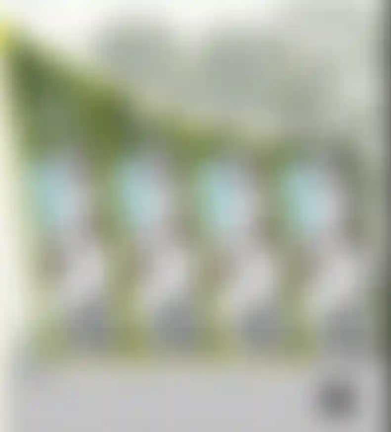 image for main block