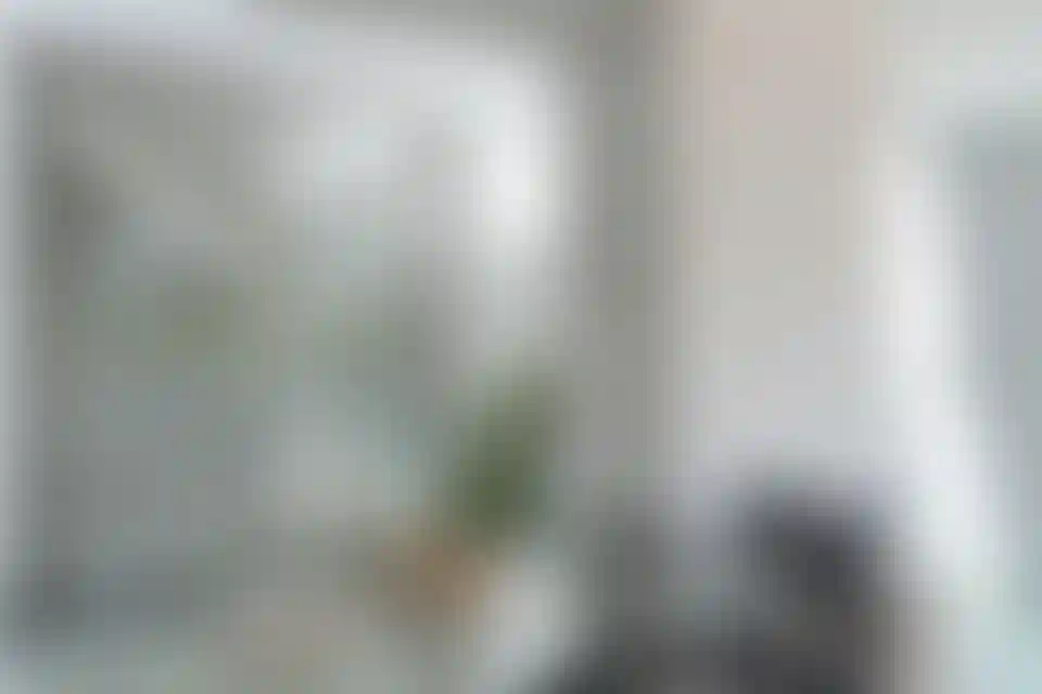 image for main block