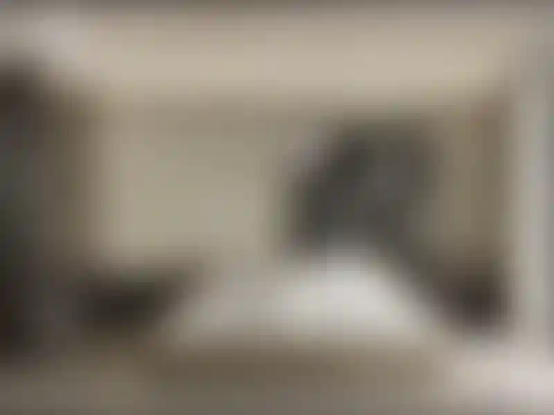 image for main block