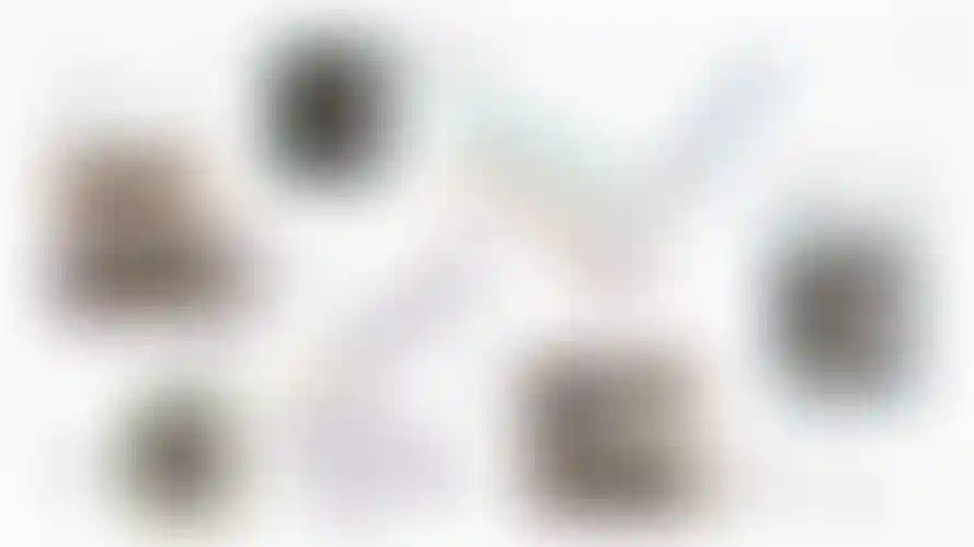 image for main block