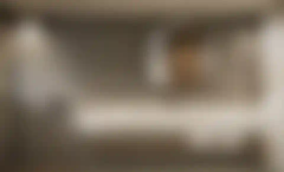 image for main block