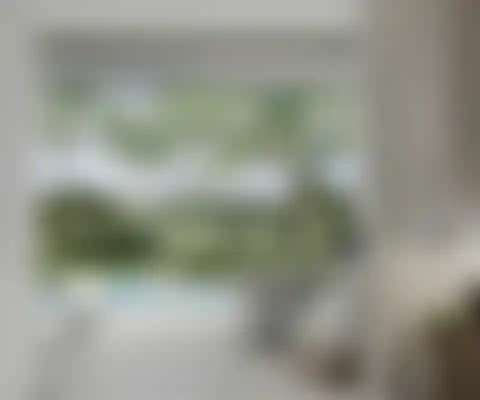 image for main block