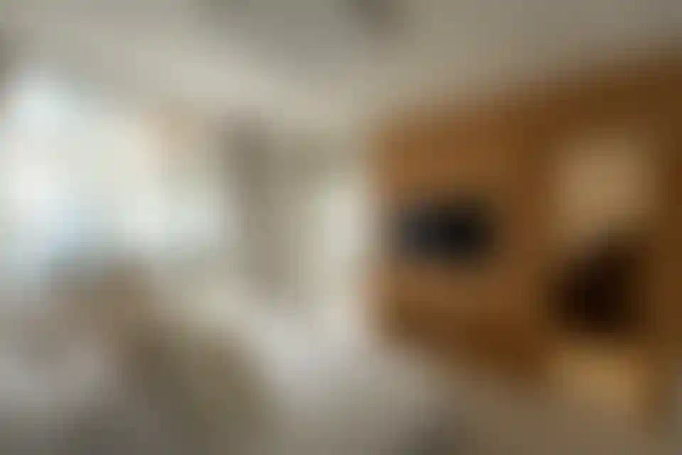 image for main block