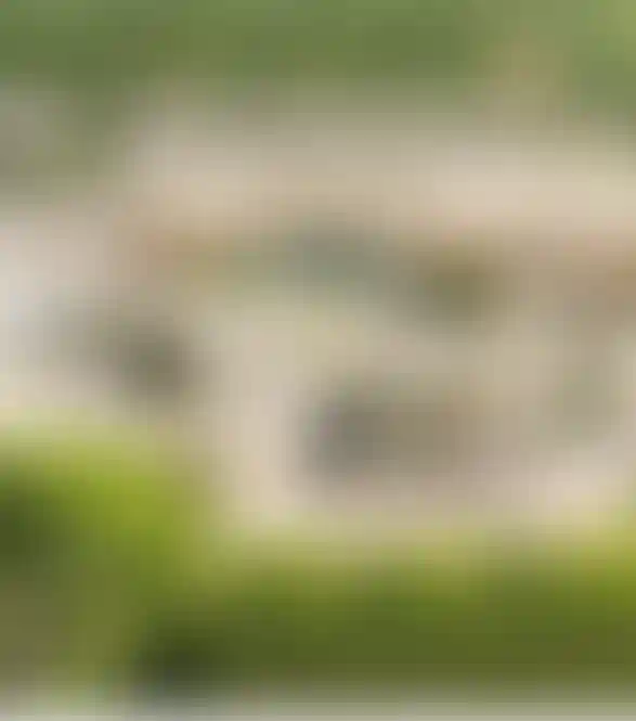 image for main block