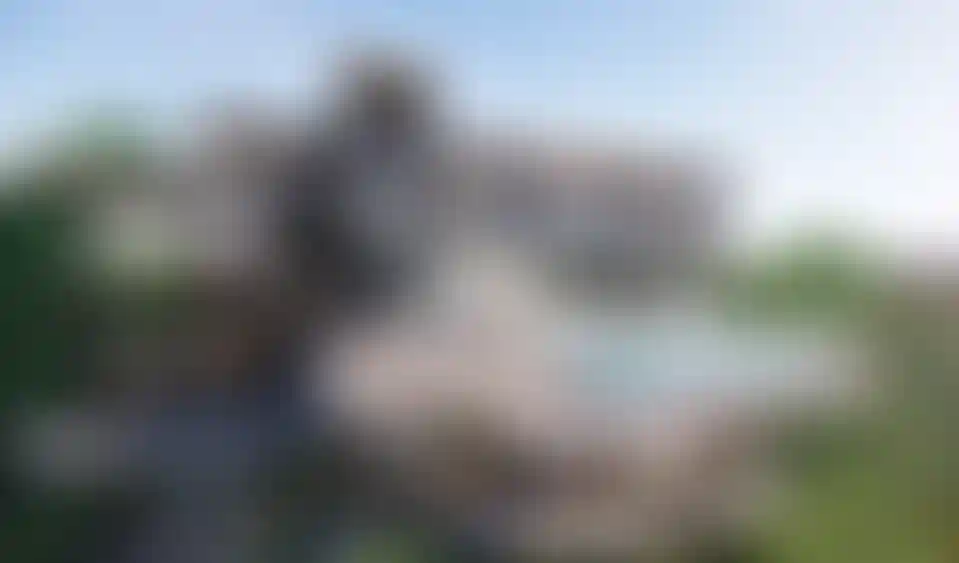 image for main block