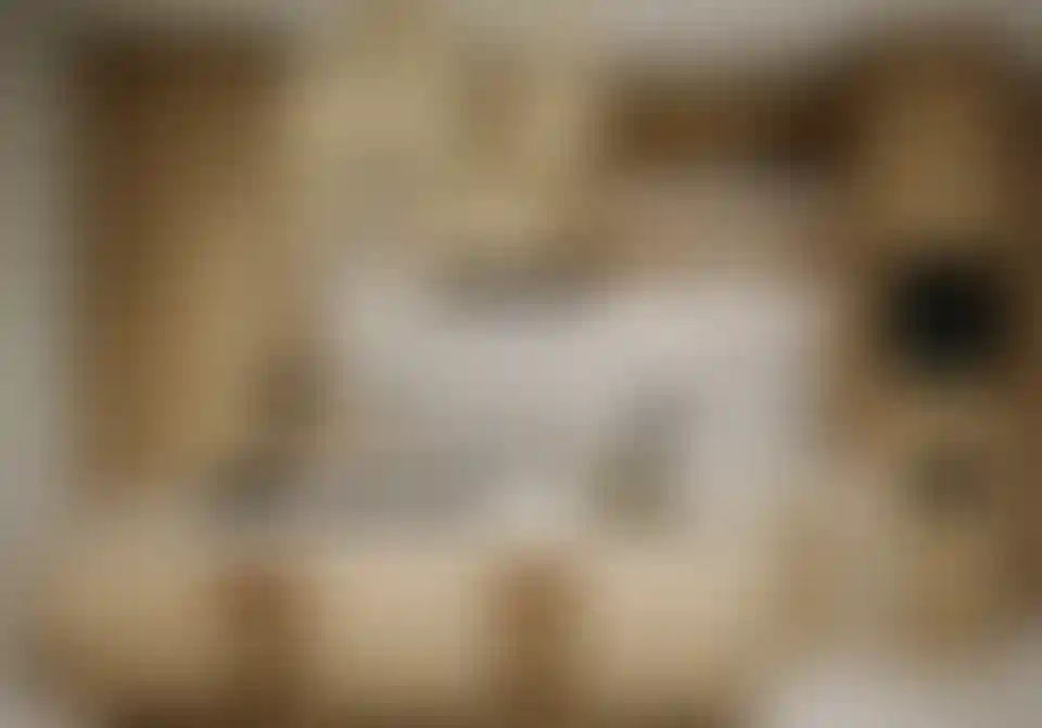 image for main block