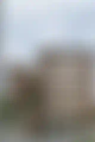 image for main block