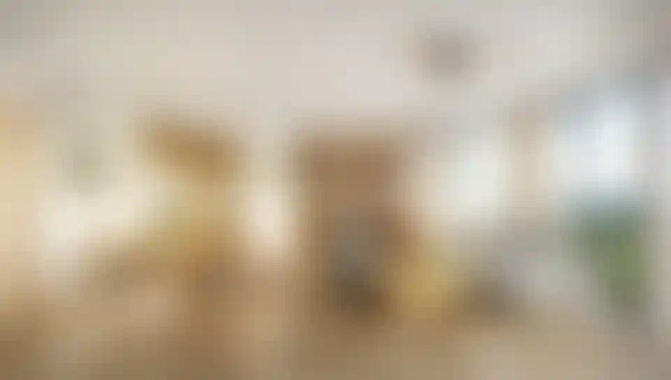 image for main block