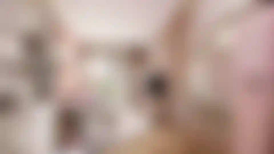 image for main block