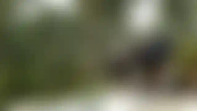 image for main block