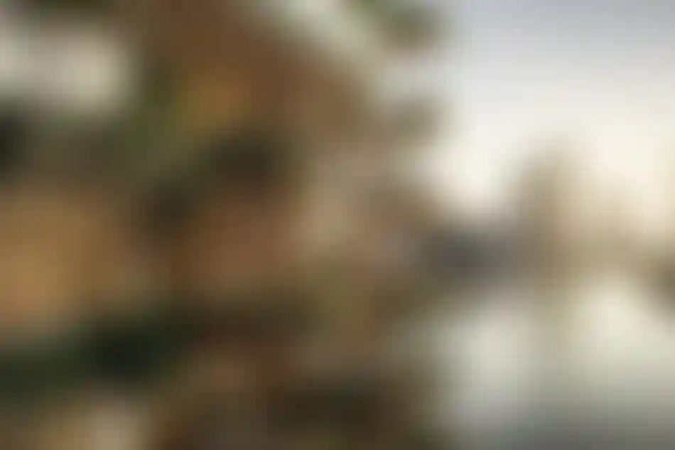 image for main block