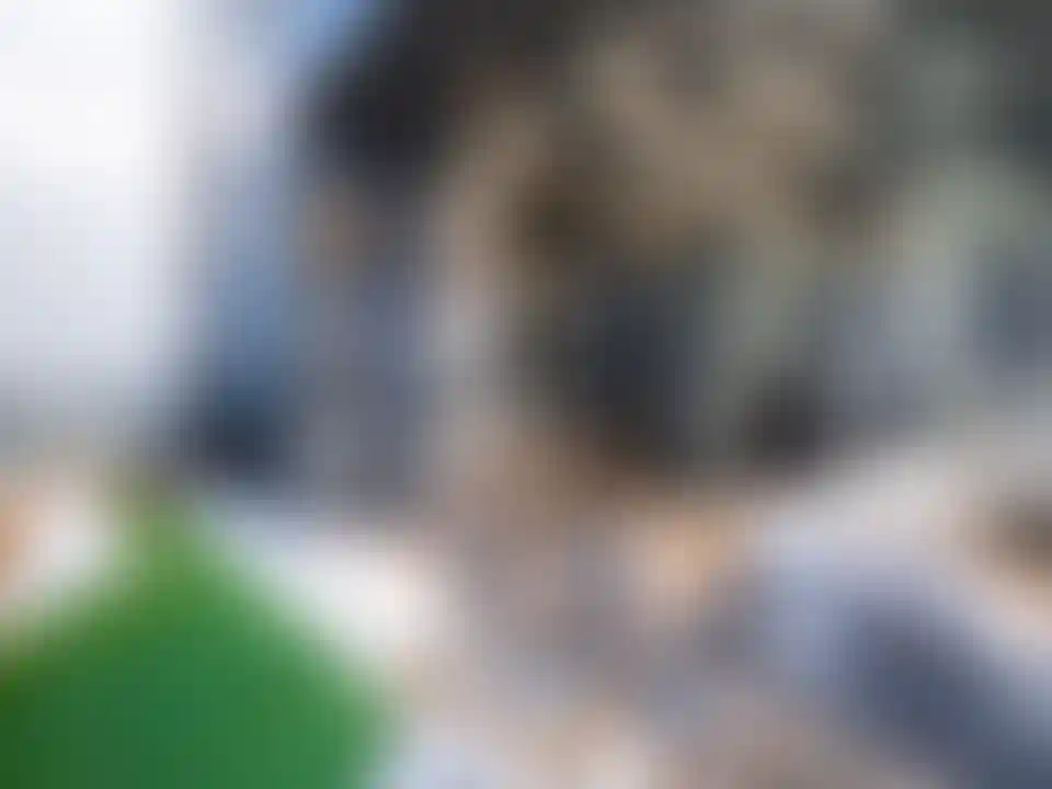 image for main block