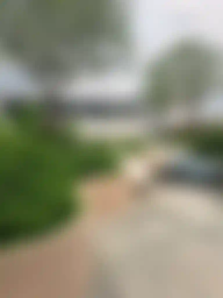 image for main block