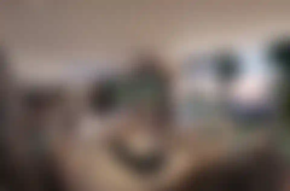 image for main block