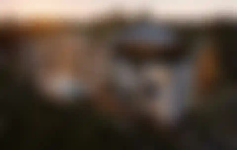 image for main block