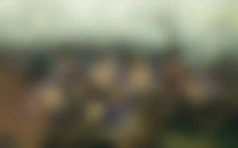 image for main block