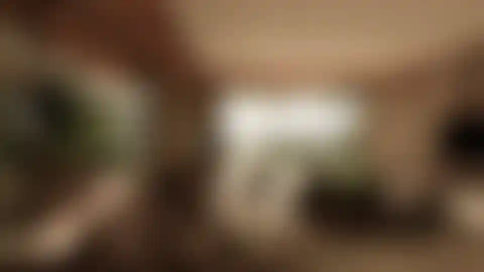 image for main block