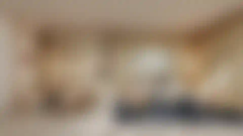 image for main block