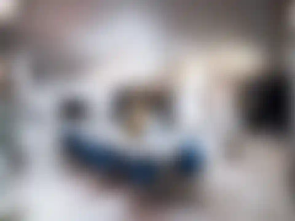 image for main block