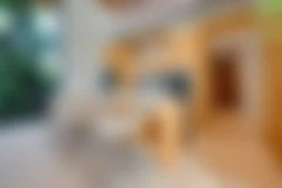 image for main block