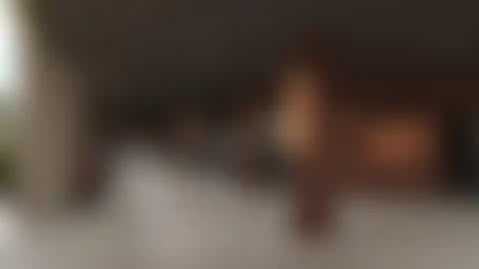 image for main block