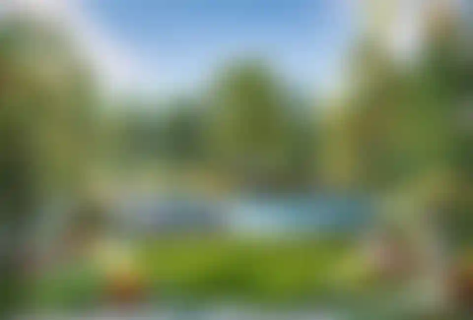 image for main block