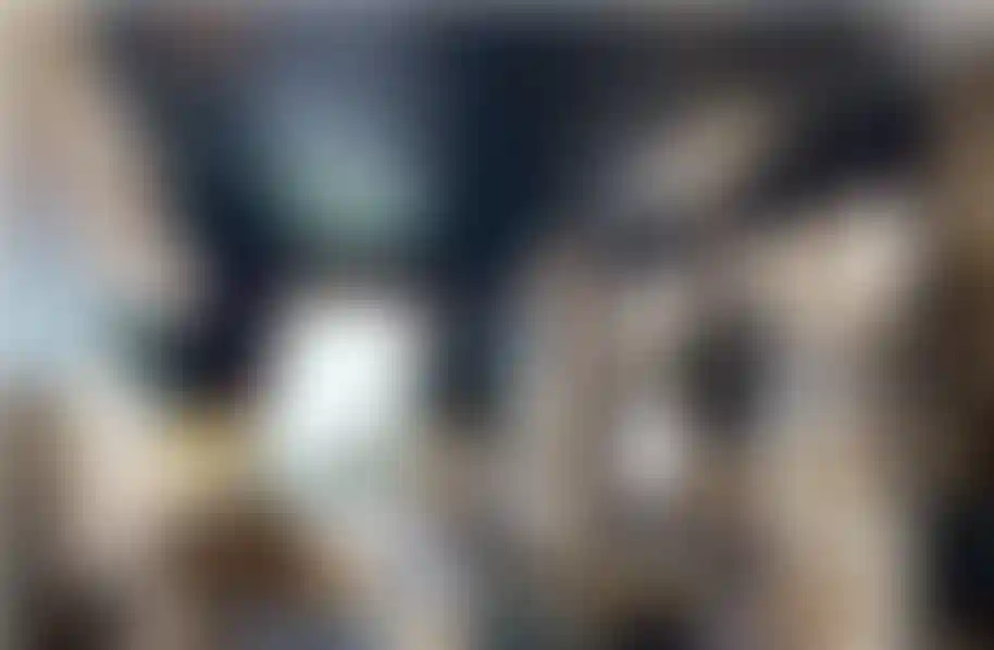 image for main block