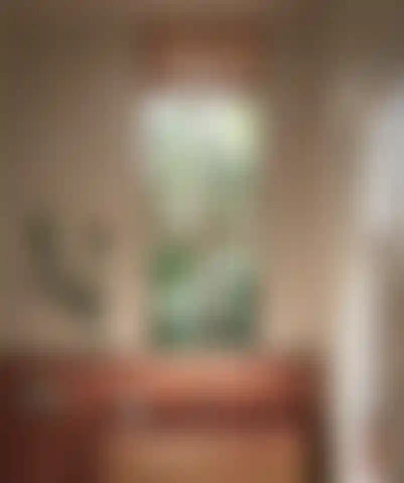 image for main block