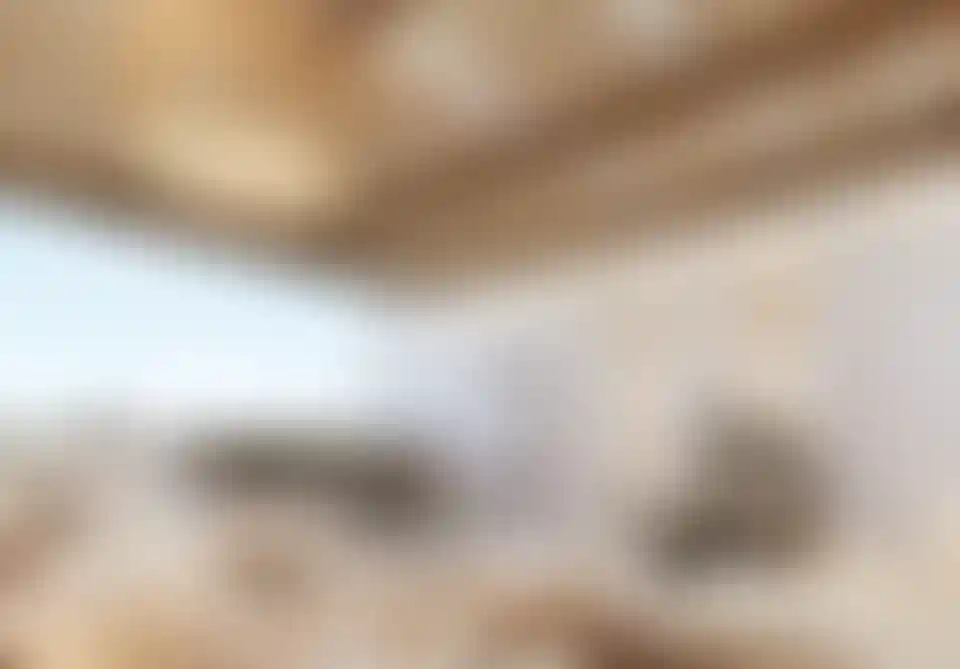 image for main block