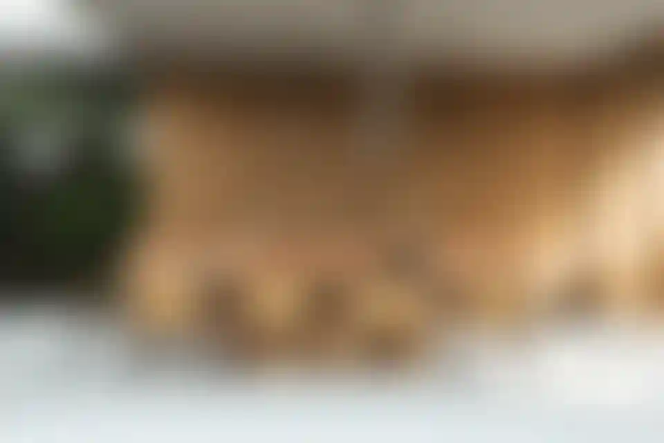 image for main block