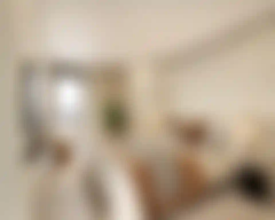 image for main block