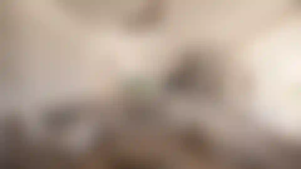 image for main block