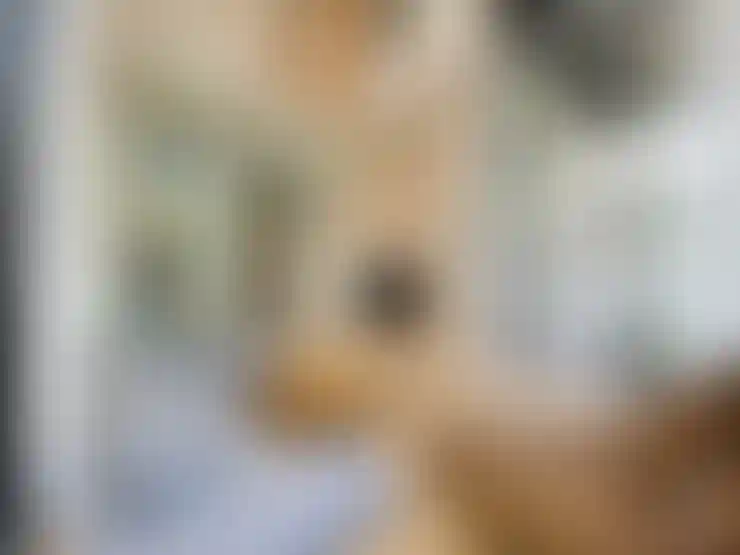 image for main block