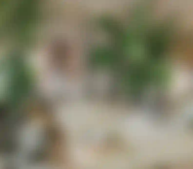 image for main block