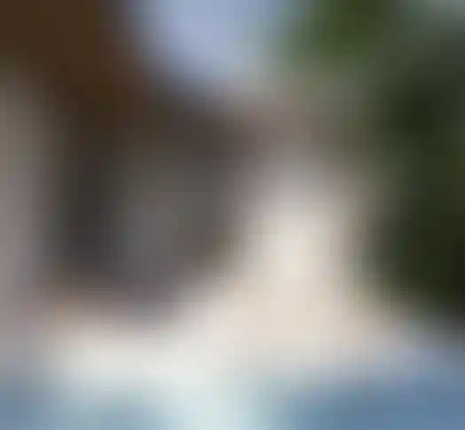 image for main block