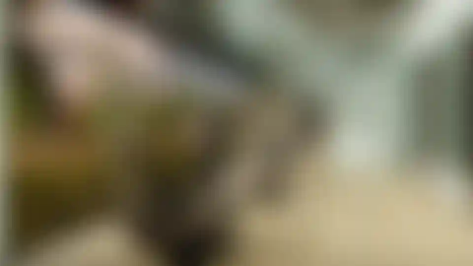 image for main block