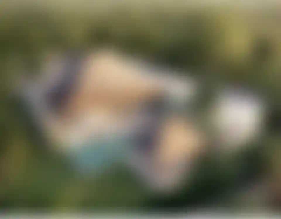 image for main block