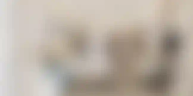 image for main block