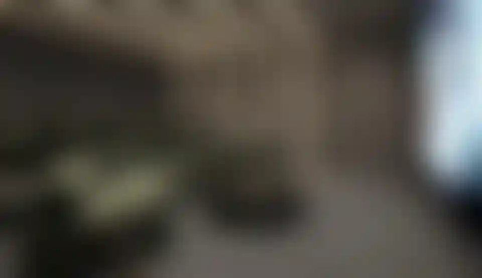 image for main block