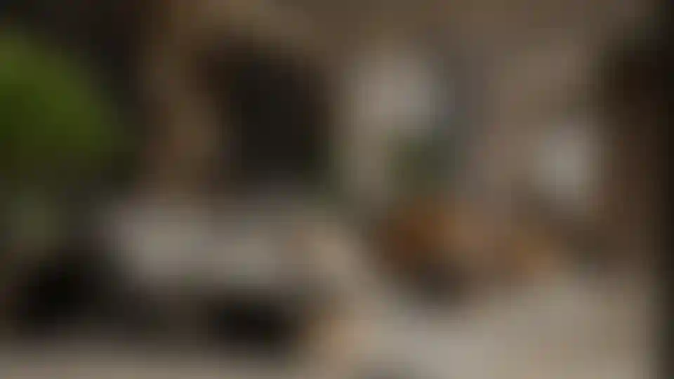 image for main block