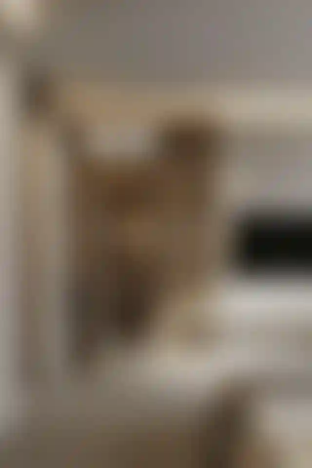 image for main block