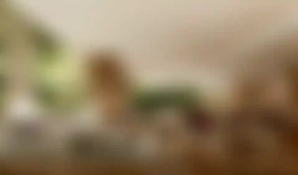 image for main block