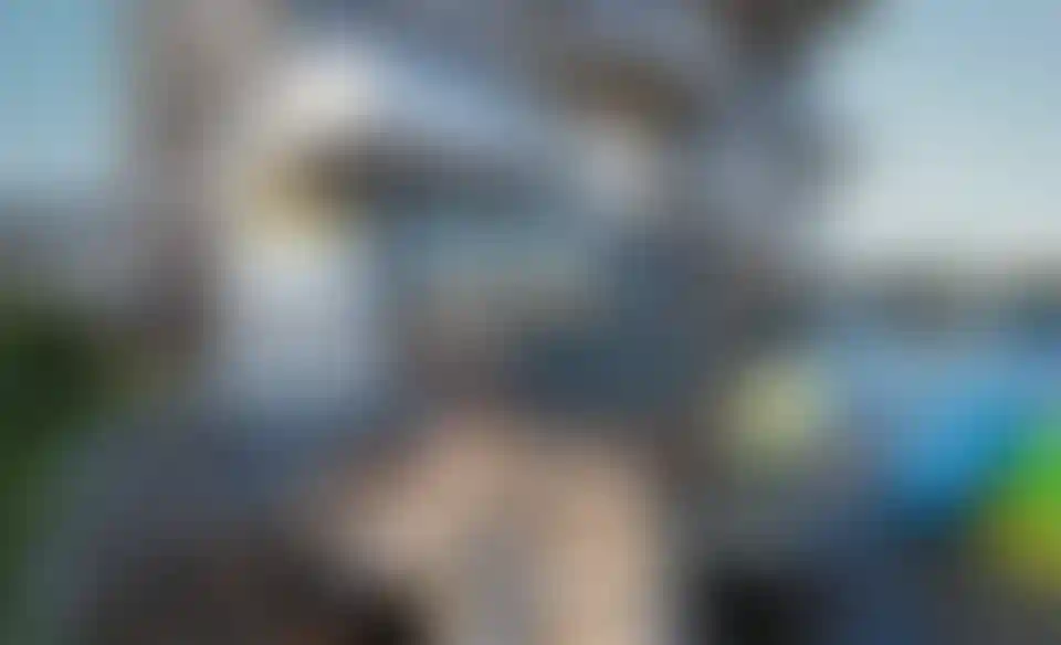 image for main block